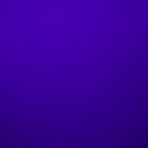 Meet your Posher, Danielle - Picture 1 of 1